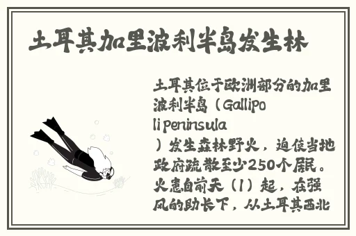 肉嫁高柳家迅雷下载